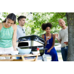 Four à pizza pour Barbecue MAGNUS - BARBECOOK mise en situation
