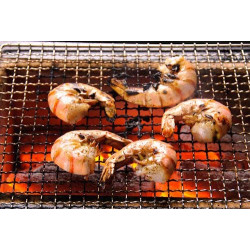 Barbecue Japonais Konro Stove en action avec crevettes / gambas