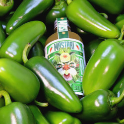 Sauce piquante JAVA 2/8 100ml - MASTARI