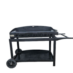 Plancha PAKITA 105cm +...