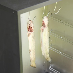 POISSON DANS FUMOIR OLAV OUVERT
