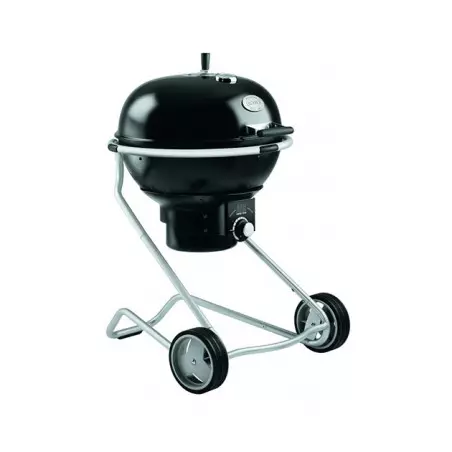 barbecue charbon
