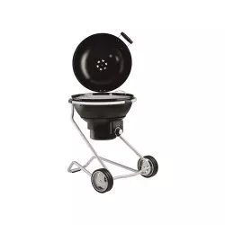 barbecue rosle charbon