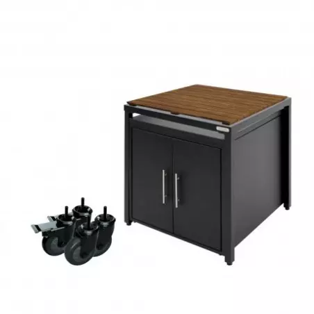 PACK START Barbecue céramique Big green egg