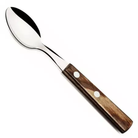 Grande Cuillère Marron Polywood 19,5 cm TRAMONTINA