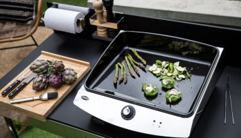 Barbecue ou plancha, that is the question ?